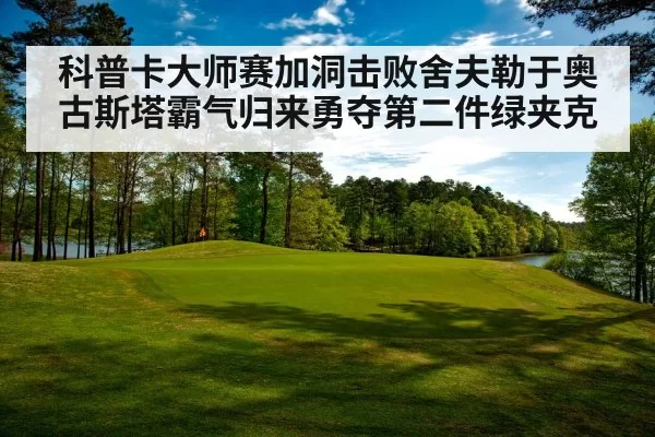 科普卡大师赛加洞击败舍夫勒于奥古斯塔霸气归来勇夺第二件绿夹克