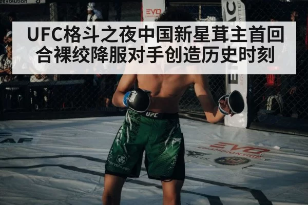 UFC格斗之夜中国新星茸主首回合裸绞降服对手创造历史时刻